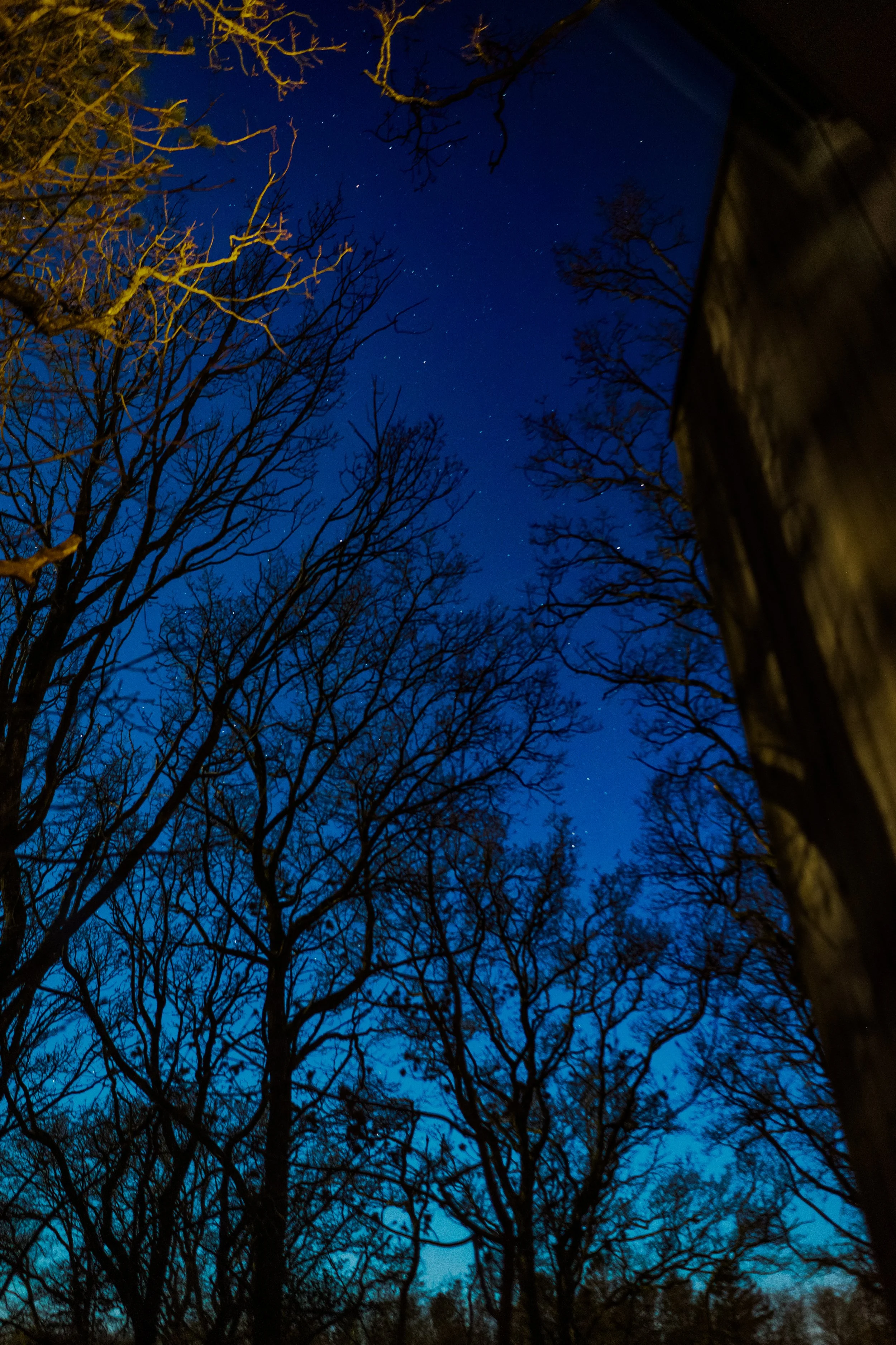 A magical night in the exclusive and eco-friendly Løvtag Treehouse Cabin.