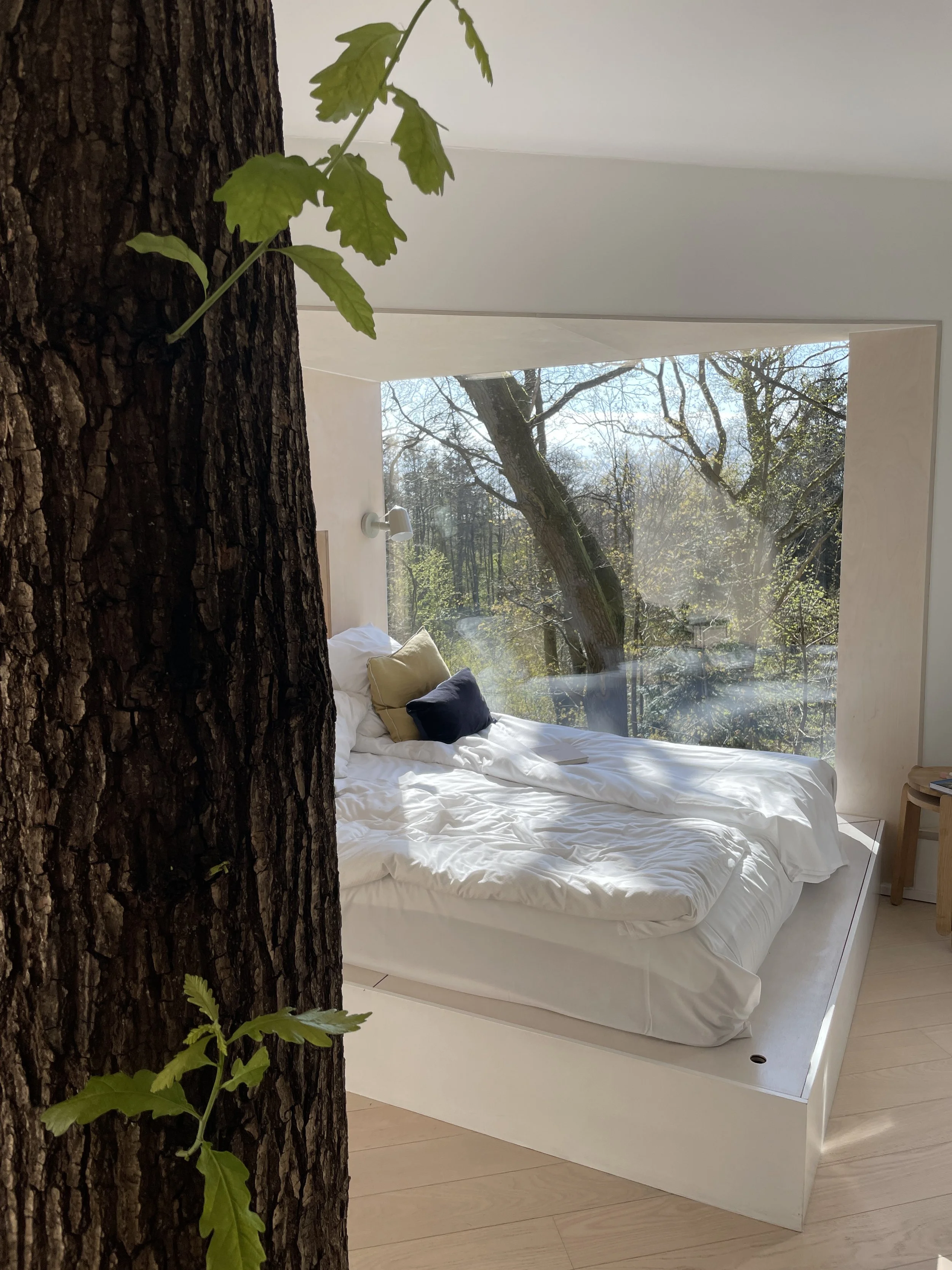 A magical night in the exclusive and eco-friendly Løvtag Treehouse Cabin.